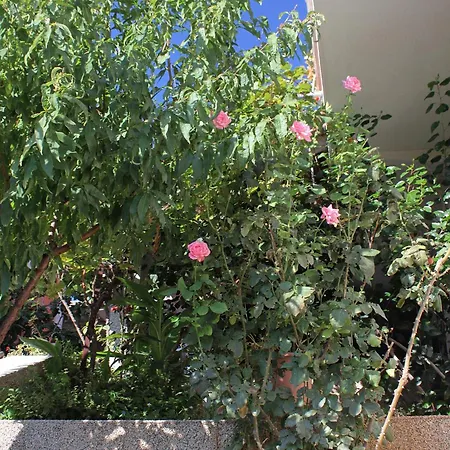 By The Sea Zavalatica, Korcula - 9315