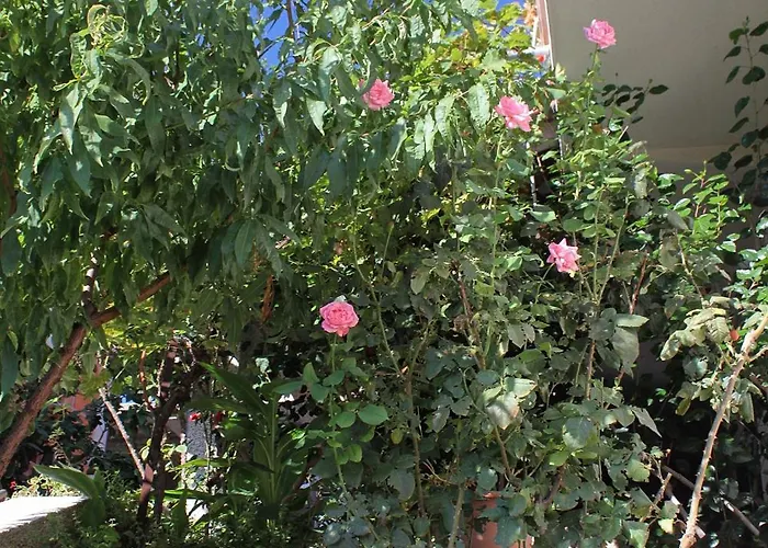 By The Sea Zavalatica, Korcula - 9315